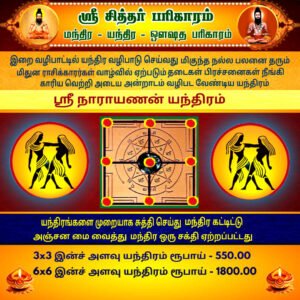 Sri Narayanan Yantram Mithuna (Gemini)