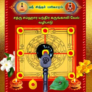 Chatru Samhara Yantra Ebony fence Worship