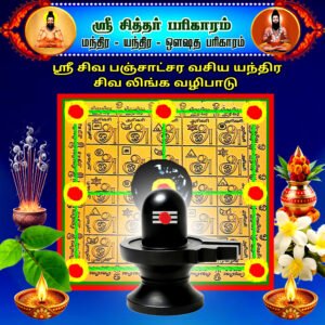 Sri Shiva Panchachara Vashya Yantra Shiva Linga Worship