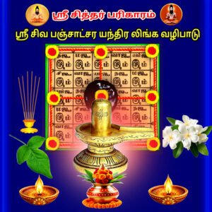 Sri Shiva Panchachara Yantra Linga