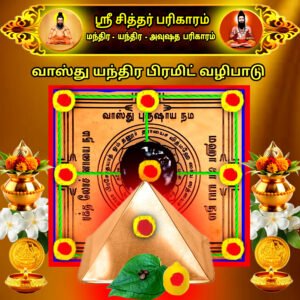 Vastu Yantra Pyramid Worship
