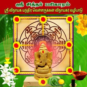Sri Vinayaka Yantra Vellarukkan Vinayaka Worship