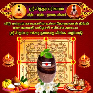 Sri Chidambaram Chakra Narmada Linga Worship