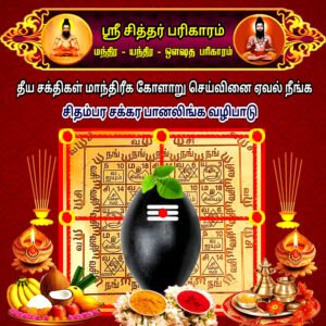 Chidambara Chakra Panalinga Worship