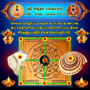 Vishnu Yantra Conch Chakra Worship